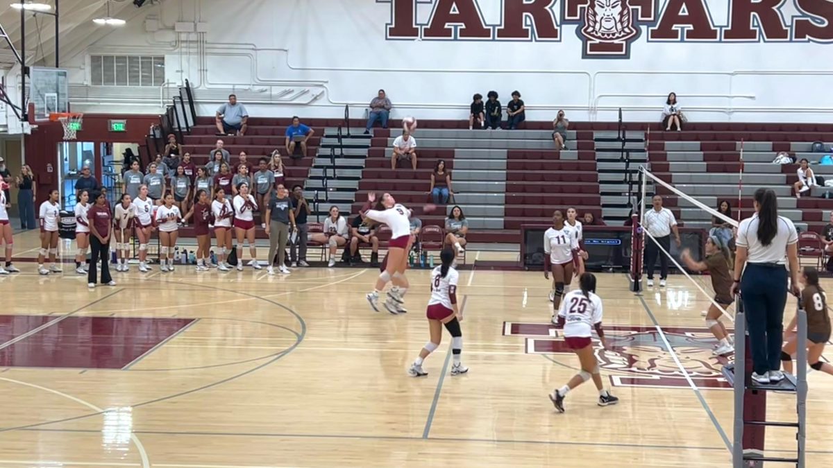 Torrance Volleyball Downs West