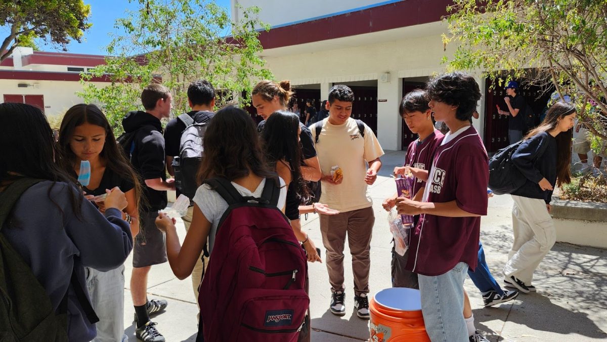 Popsicles for Wellness Wednesday